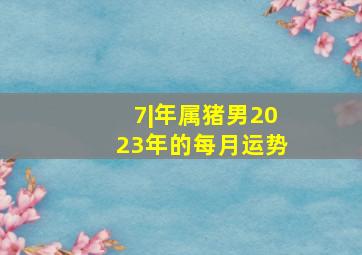 7|年属猪男2023年的每月运势